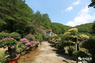 梅州鄉(xiāng)村旅游精品路線 四 蕉嶺山水名人之旅