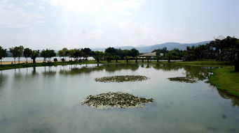 云南彌勒市 錦屏山 可邑小鎮(zhèn) 湖泉生態(tài)園 3日游記 2016背包族秋游系列之七 小田木作品