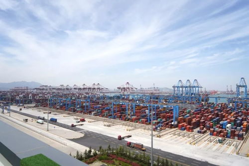 美麗中國(guó) 青島 張開雙臂 擁抱上合