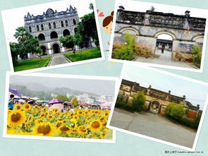 清新、自然，暢聽未來——武宣環豐生態園與九龍潭生態園的生態之旅