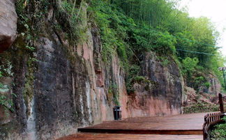 金釵石斛生態園與九龍潭生態園掠影