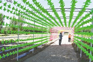 九龍潭生態園 綠水青山間的振興之路，讓貧困戶成為旅游產業的最大受益者